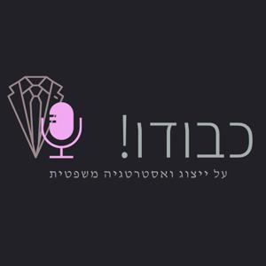 כבודו! על ייצוג ואסטרטגיה משפטית