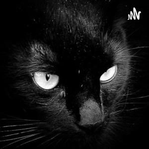 The Black Cat