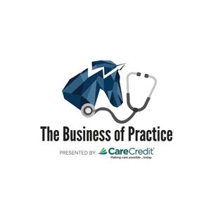 Business of Practice Podcast by Business of Practice