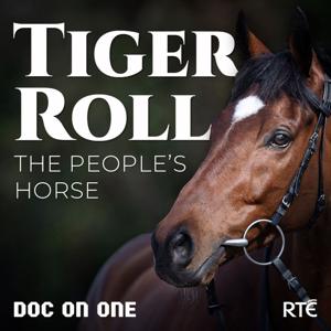 Tiger Roll: The People's Horse by RTÉ Documentary on One