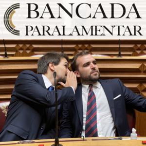 Bancada Paralamentar