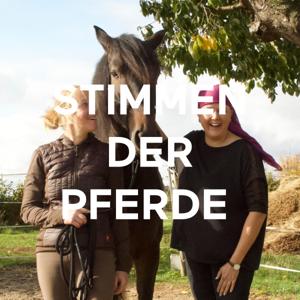 STIMMEN DER PFERDE