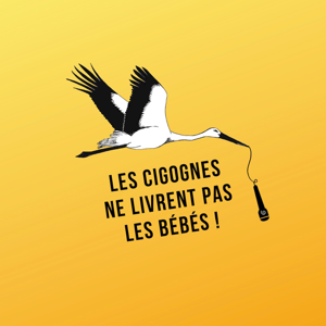 Les Cigognes ne livrent pas les bébés by lescigognes_ansfl