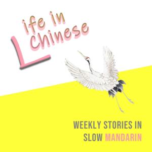 Life in Chinese | Weekly Stories in Slow Mandarin