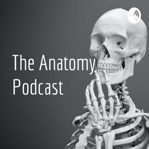 The Anatomy Podcast by The PT Novice