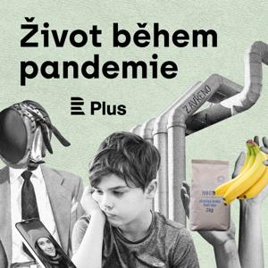 Život během pandemie