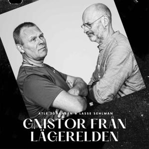 Gnistor från lägerelden