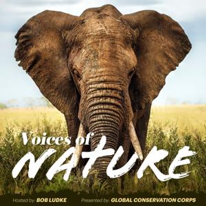 Voices of Nature