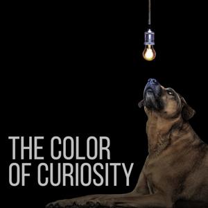 The Color of Curiosity