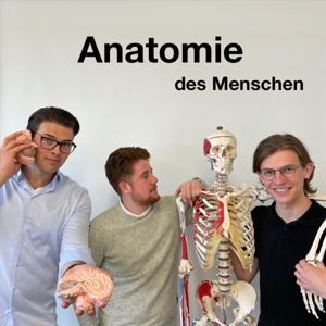 Anatomie des Menschen by Lino Mauelshagen