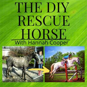 The DIY Rescue Horse