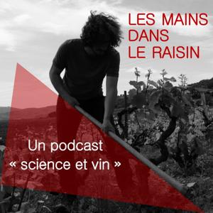 Les mains dans le raisin - un podcast "science et vin" by Les mains dans le raisin