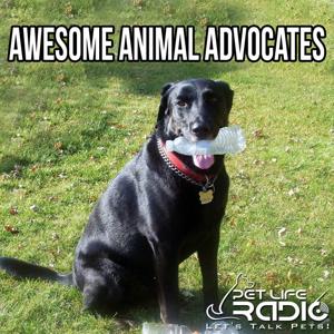 Awesome Advocates- For Dogs, Cats, & other Pets on Pet Life Radio (PetLifeRadio.com) by Keith Sanderson