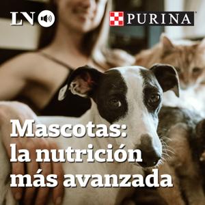 Mascotas: la nutrición más avanzada