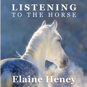 Listening to the Horse by Elaine Heney | Equine training, education, psychology, horsemanship, groundwork, riding & dressage for the equestrian. With horse care, health, ownership, knowledge, communication, mind, connection & behaviour information tips. by Elaine Heney talks horse riding, horse training and natural horsemanship