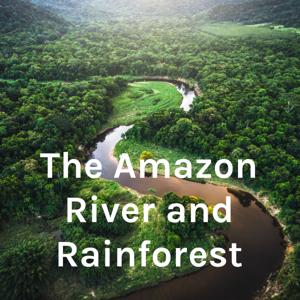 The Amazon River and Rainforest