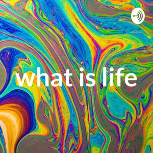 life is a mess lolol