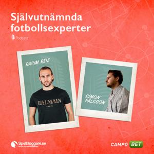 Självutnämnda Fotbollsexperter