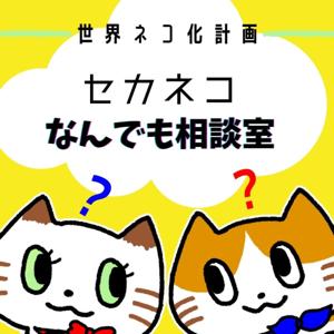 セカネコなんでも相談室【世界ネコ化計画】