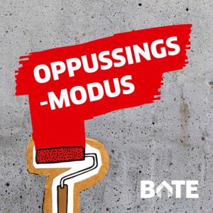 Oppussingsmodus