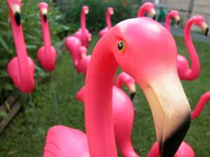 Flamingo Breeze