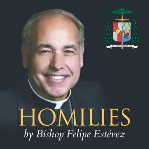 Homilies