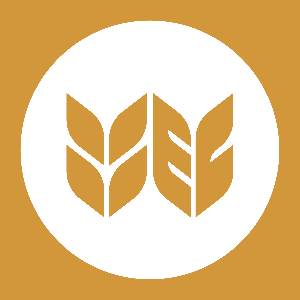 Wagga Evangelical Church