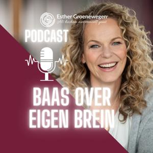 Baas over eigen Brein by Esther Groenewegen-Jonker