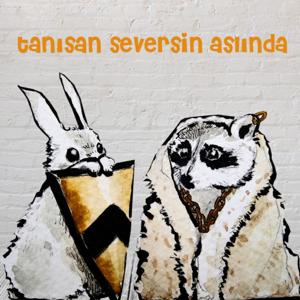 tanısan seversin aslında