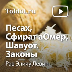 Рав Элияу Левин  — Песах, Сфират аОмер, Шавуот. Законы