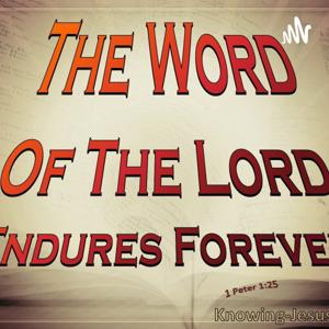 Scriptures Of Praise