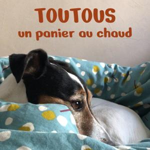 Toutous un panier au chaud