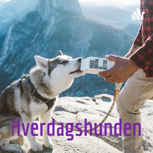 Hverdagshunden