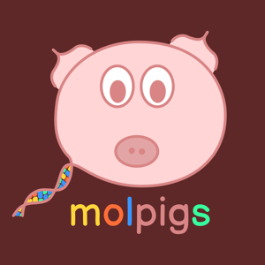 The molpigs Podcast