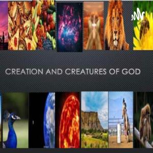Creation and Creatures of God