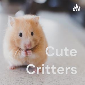 Cute Critters