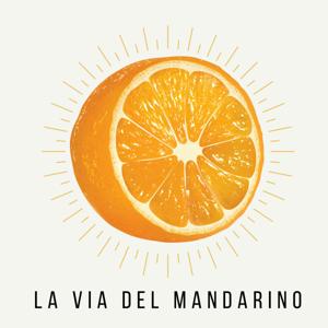 《La via del mandarino》 imparare il cinese 義大利文 & 中文