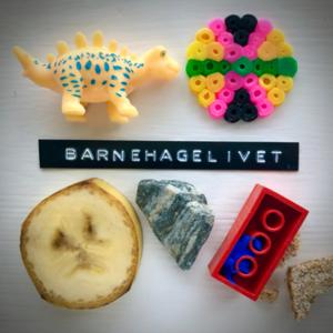 Barnehagelivet