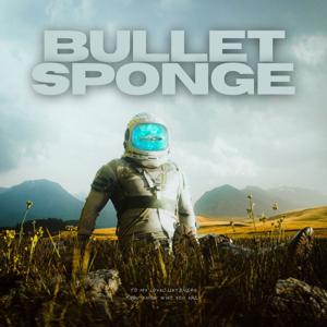 Bullet Sponge