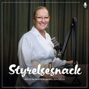 Styrelsesnack