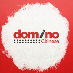 Learn Chinese in 100 Days | Domino Chinese