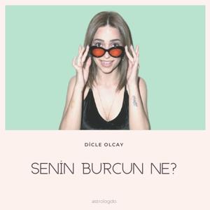 Senin Burcun Ne?