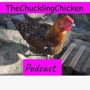 The Chuckling Chicken