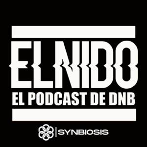 El Nido DNB En Español