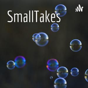 SmallTakes