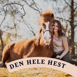 Den hele hest