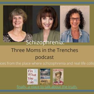 Schizophrenia: Three Moms in the Trenches by Randye Kaye