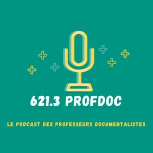 621.3 Prof Doc