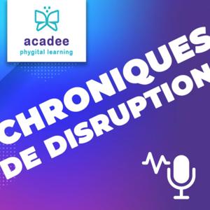 Chroniques de disruption