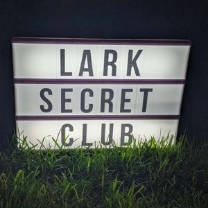 LARK Secret Club - A Family Video Game Podcast